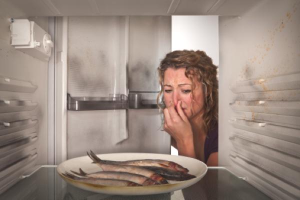  Unpleasant smell in the refrigerator