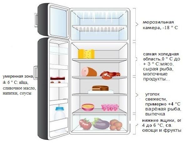  Temperature zones of the single-chamber refrigerator