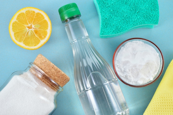  Soda, vinegar, lemon and sponge for washing the refrigerator