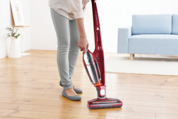  Vacuum cleaner Electrolux ERGO 05