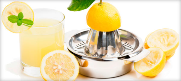  Manual citrus juicer