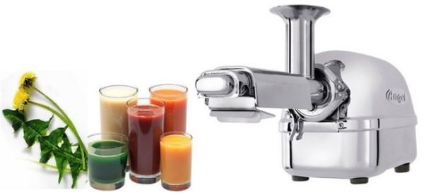  Juicer food processing