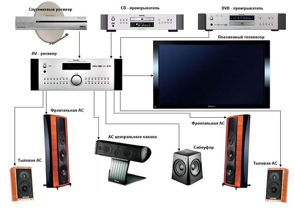  The composition of the cinema