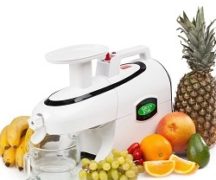  Juicer and fruit