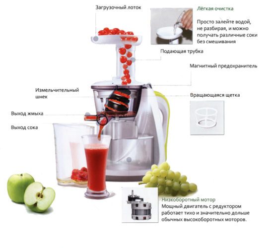  Auger Juicer Device