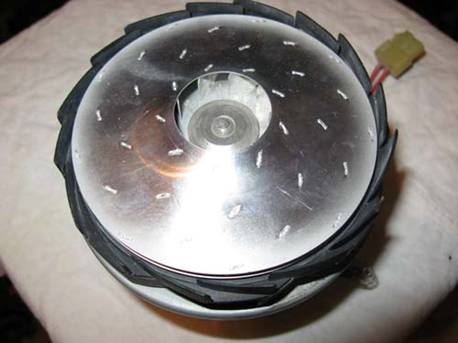  Impeller motor