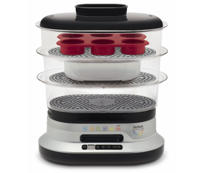  Tefal Steam’n’light VC3008