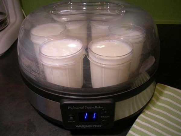  Yogurt maker during work