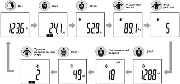  Data obtained by analyzer weights