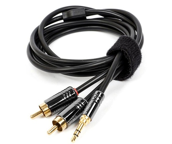  2 RCA audio