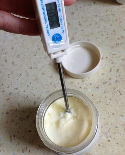  Measuring the temperature in a cup yogurt maker