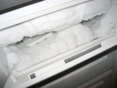  Snow coat in the freezer