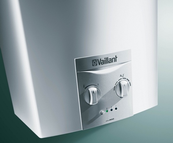  Vaillant