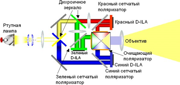  D-ILA apparatus