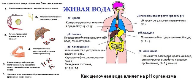  Properties of living water