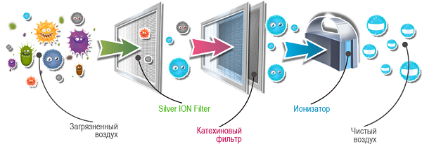  Catechin filter