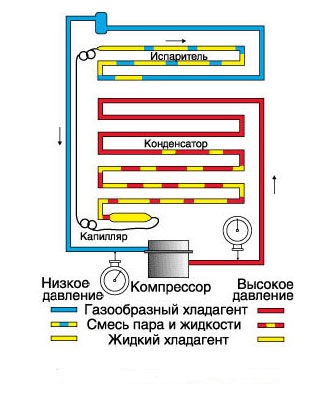  Freezer unit