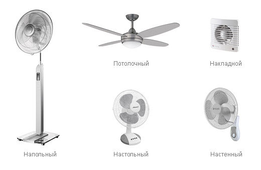  Types of fans