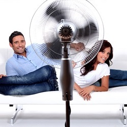  How to choose the best fan for your home