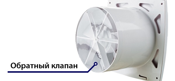  Fan with check valve