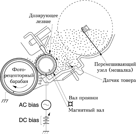  Development process