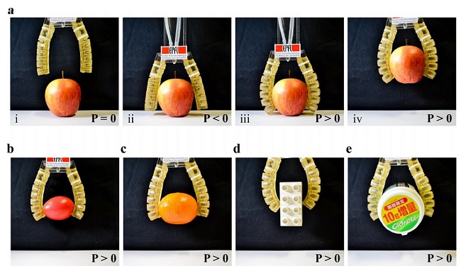  Travail de robot comestible