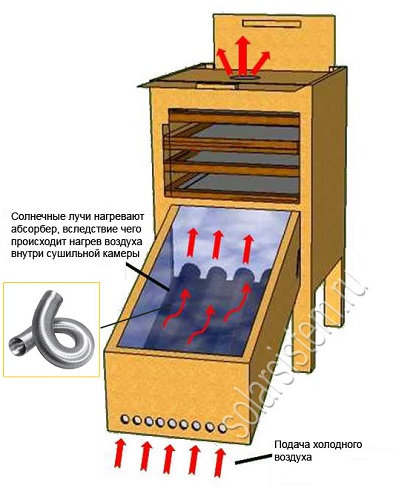  Solar dryer with collector