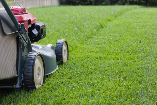  Grass Cutting Direction