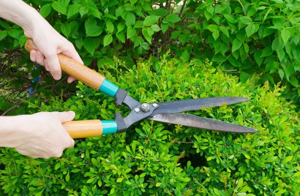  Gardening scissors