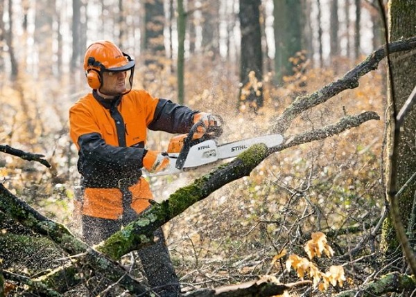  Chainsaw cutting