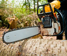  Chainsaw operation