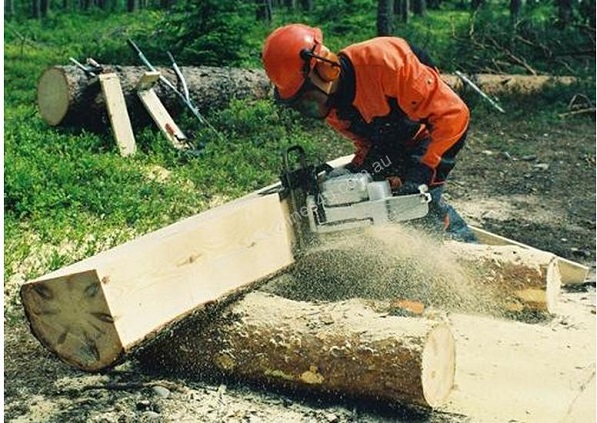  Cut logs on boards