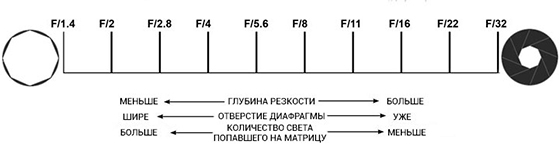  Diaphragm