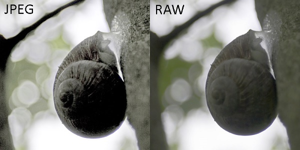  Raw versus jpeg