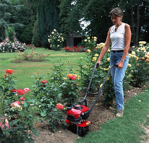  Motor-cultivator for a bed