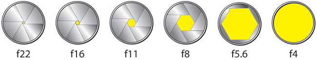  Diaphragm