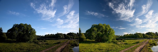   Polarizing light filter