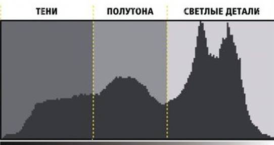  bar chart