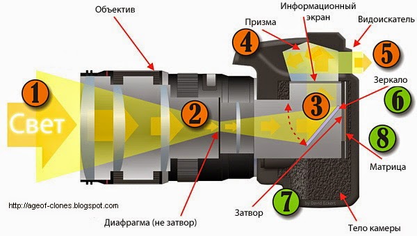  The principle of operation of the SLR camera