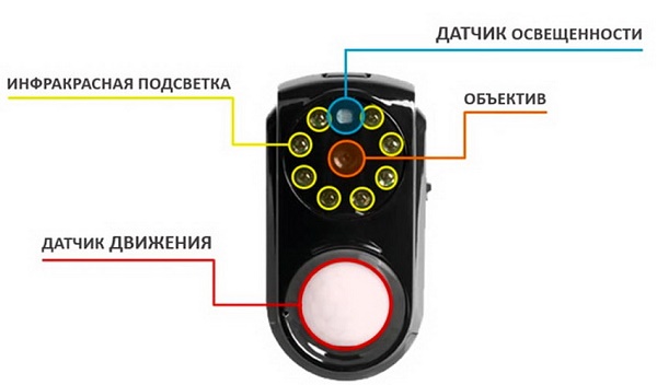  Camera with light sensor