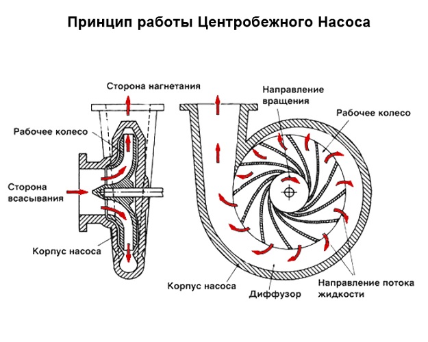  Principle of operation of the pump