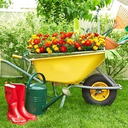  5 types of equipment that must be a gardener