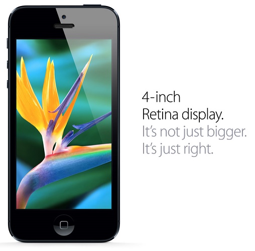  Retina screen type