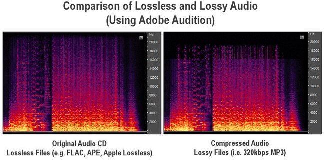  FLAC format